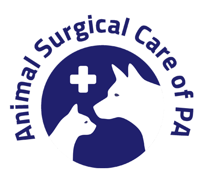 Animal Surgical Services
